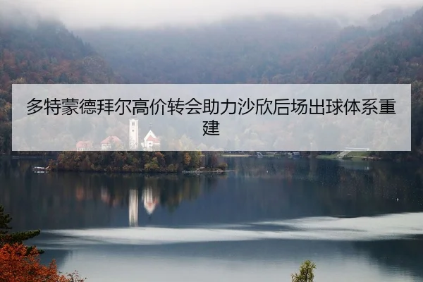 多特蒙德拜尔高价转会助力沙欣后场出球体系重建