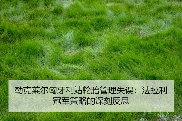 lei-ke-lai-er-xiong-ya-li-zhan-lun-tai-guan-li-shi-wu-fa-la-li-guan-jun-ce-lve-de-shen-ke-fan-si-2-697.jpg