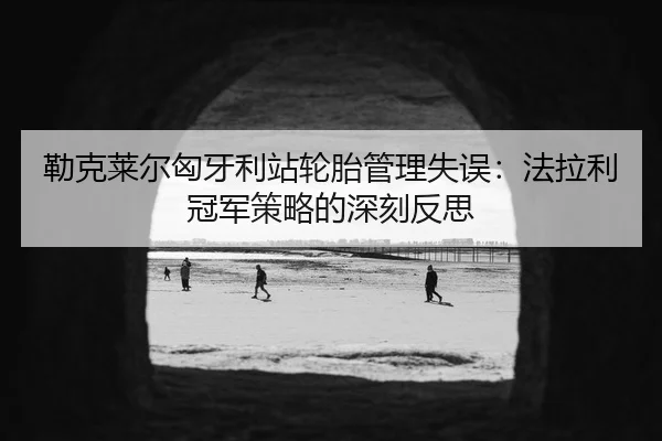 lei-ke-lai-er-xiong-ya-li-zhan-lun-tai-guan-li-shi-wu-fa-la-li-guan-jun-ce-lve-de-shen-ke-fan-si-3-519.jpg