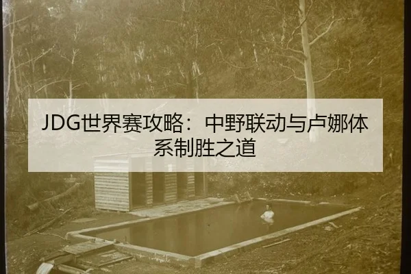 JDG世界赛攻略：中野联动与卢娜体系制胜之道