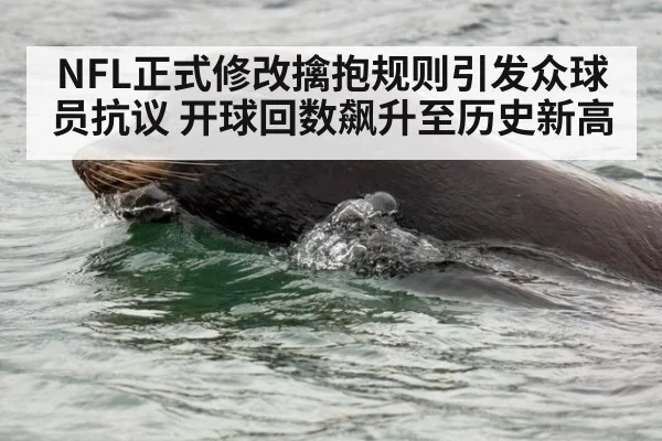 NFL正式修改擒抱规则引发众球员抗议 开球回数飙升至历史新高